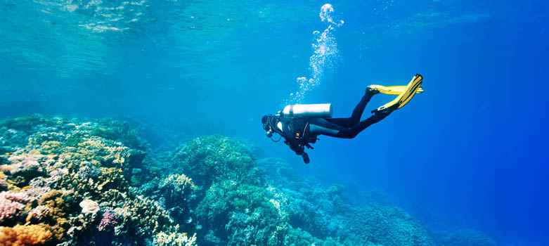 马尔代夫水肺潜水