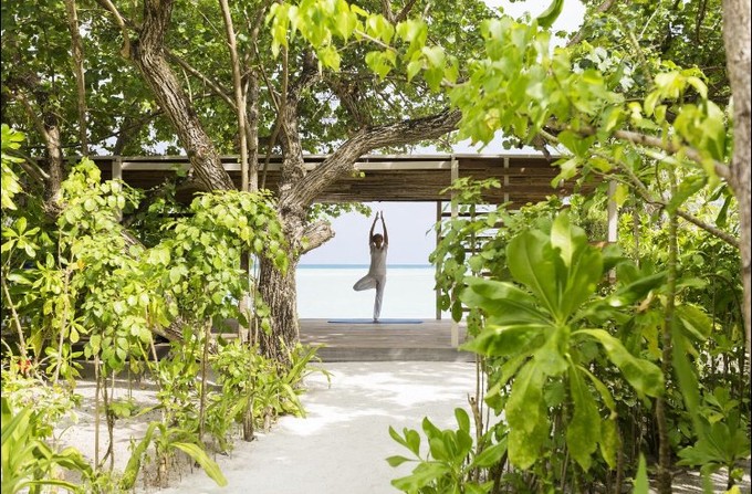 马尔代夫迪瓦岛瑜伽