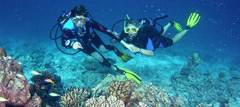 卡娜丽芙岛娱乐浮潜 （Snorkelling）