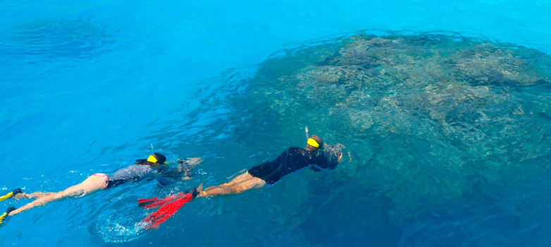 马尔代夫浮潜