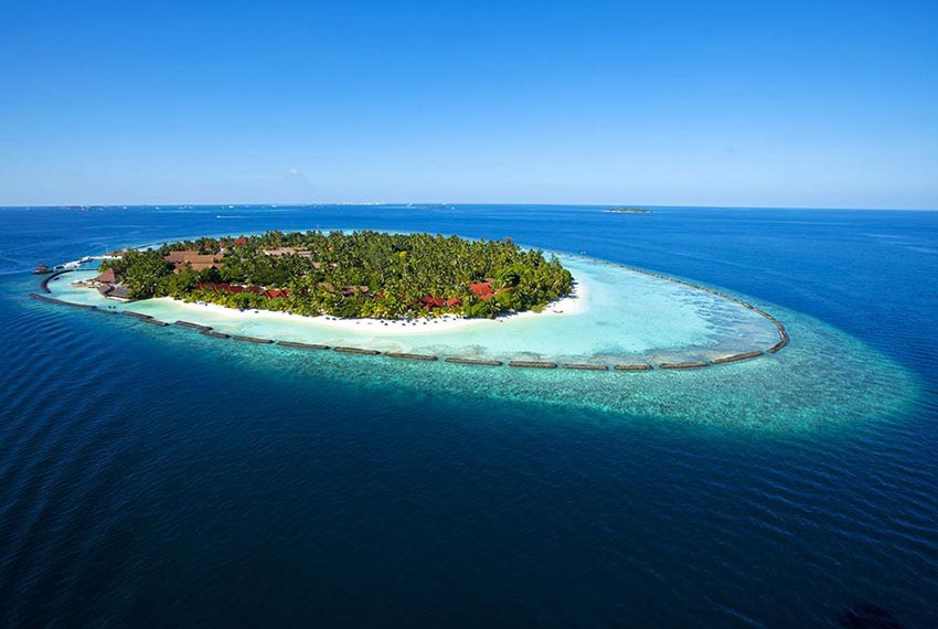 椰子岛