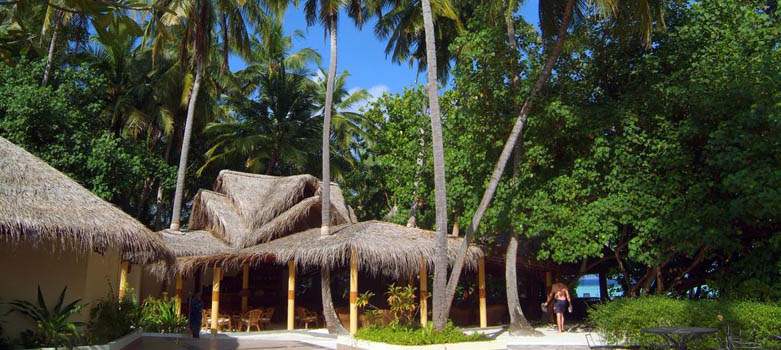 白雅湖岛椰子树酒吧（The Coconut Bar）