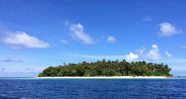 蓝色美人蕉岛全景图片