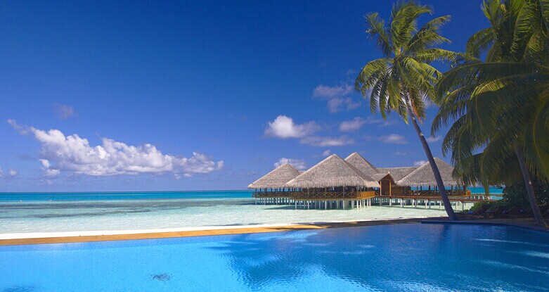 蓝色美人蕉岛泳池图片