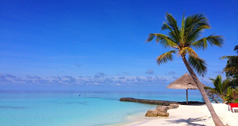 蓝色美人蕉岛海景图片