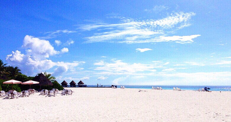 蓝色美人蕉岛沙滩图片