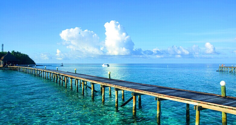 蓝色美人蕉岛风景图片