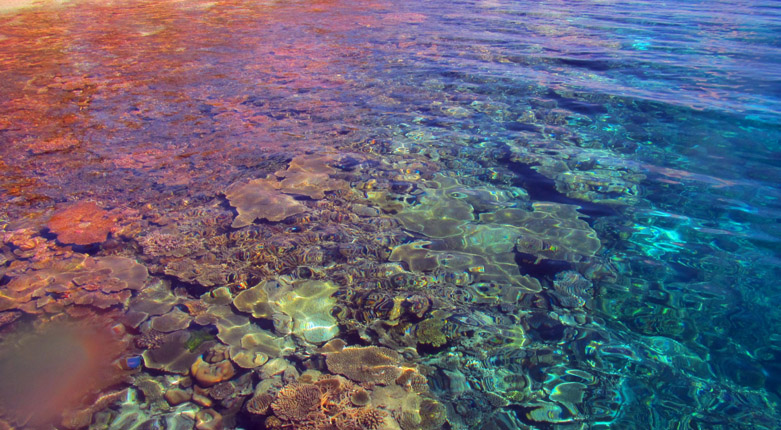 鲁滨逊岛海水图片